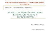EL SECTOR ENERGÍA PERUANO: SITUACIÓN ACTUAL Y … Sector Energia Peruano-Situacion... · industria eléctrica podría delegarse, al menos en parte, a las fuerzas del mercado, limitando