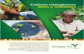 BROCHURE MITOS Y REALIDADES - InnovAgro Ecuador · los alimentos mantengan un precio bajo. Organizaciones como la FAO, el IICA, el Banco Mundial resaltan la importancia de la agrobiotecnología