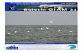 Boletín GIAM 31 · La actividad principal ha consistido en la realización de censos de aves marinas desde la Playa del Desna-rigado, en Ceuta, que tiene una orientación SE (Fig.