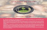 CULTIVO DE PAPAdyaperu.org/web/wp-content/uploads/2018/12/Cartilla-Papa.pdf · 2018. 12. 10. · papa en el uso del espacio, agua y nutrientes; por otro lado, las malezas pueden ser