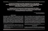 CARACTERIZACIÓN GENÉTICA DE SEIS MICROSATÉLITES EN …culo.pdf · caballo criollo colombiano, paso fino colombiano y trocha pura colombiana. La caracterización alélica, se hizo