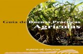 Guía de Buenas Prácticas Agrícolas - Margal Ullamargalulla.xunta.es/sites/default/files/original... · L. as . Buenas Prácticas Agrícolas (BPA) son un conjunto de técnicas y
