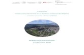 Programa Protección del Clima en la Política Urbana de México°-Boletín... · 2019. 6. 18. · son: (1) Planeación Urbana amigable con el clima, (2) Servicios Ecosistémicos