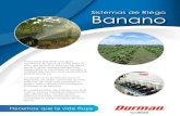 Sistemas de Riego Banano · 2020. 9. 28. · Banano. En el riego localizado se busca aumentar la eficiencia de aplicación de agua a la planta, optimizando el consumo de energía