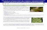 ARAÑA AMARILLA COMÚN (Tetranychus urticae Koch) - Castilla-La …pagina.jccm.es/agricul/agricultura_ganaderia/sanidad... · 2019. 5. 15. · Boletín 12/julio 2018 - Página [3]