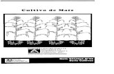 Centro para el Desarrollo Agropecuario y Forestal, Inc ...cedaf.org.do/publicaciones/guias/download/maiz.pdf · Created Date: 5/21/2002 4:17:20 PM