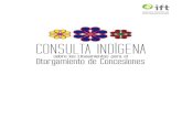 INFORME - Instituto Nacional de Lenguas Indígenassite.inali.gob.mx/pdf/consulta_indigena.pdfPosteriormente, el 14 de julio de 2014, se publicó en el DOF el “Decreto por el que