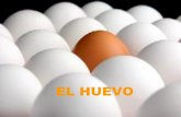 EL HUEVO - edu.xunta.gal PCA 2.pdf · • El huevo tiene una estructura diseñada por la HUEVO naturaleza con el fin de proteger y mantener el futuro embrión hasta su eclosión y