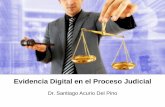New Evidencia Digital en el Proceso Judicial - Evidencia... · 2016. 11. 3. · el CACHE, son evidencias que por su naturaleza inestable se pierden cuando el computador es apagado.