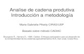Analise de cadena produtiva Introducción a metodología€¦ · Analise de cadena produtiva Introducción a metodología Marie Gabrielle Piketty CIRAD/USP Basado sobre método CADIAC