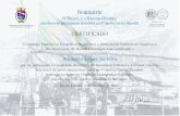 Adenildo López da Silva€¦ · Seminário 0 BRASIL E A GRANDE GUERRA: interfaces da participação brasileira na Primeira Guerra Mundial DIRETORIA DO PATRIMÔNIO HISTÓRICO