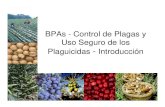 BPAs - Control de Plagas y Uso Seguro de los Plaguicidas … · 2010. 11. 16. · plaguicidas • Campos y/o cultivos aledaños. ... científico de riesgos y en base a los estudios