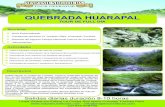 Huarapal Full day · flora y fauna, escenarios paisajísticos del ecosistema del Bosque Húmedo Tropical. Caminata pausada por senderos entre densos árboles de más de 30 metros