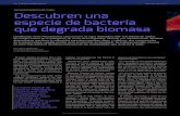 Descubren una especie de bacteria que degrada biomasaria.inta.gob.ar/sites/default/files/actualidadimasd/...mineralizadores y hasta recicladores. Desde la década de 1950, diversos