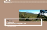pinares endémicos canarios - miteco.gob.es€¦ · o los pájaros carpinteros canarios (Dendrocopos major canariensis : de Tenerife: o D. m. thanneri: de Gran Canaria), así como