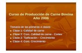 Curso de Producción de Carne Bovina Año 2006 · 2009. 11. 10. · la carne es el tejido muscular. Por extensión se considera como carne a otros tejidos que acompañan al músculo