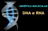 DNA e RNA - colegiorodin.com.br de materias/Arquivos/Be… · Vírus: DNA ou RNA. Bacteriófago HIV. Células procarióticas: DNA. um único cromossomo formado apenas por uma molécula