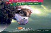 GREFA - Buitre negro… · Estamos localizados en dos colonias: en el Valle del Lozoya y en la Zepa 51 "Encinares de los ríos Cofio y Alberche". En el Valle del Lozoya los Buitres