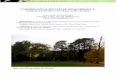 CONTRIBUCIÓN AL ESTUDIO DE SETAS URBANAS II: PARQUE HISTÓRICO DE VILLA … · 2019. 6. 6. · El parque histórico de Villa Olmo es el parque más grande de la ciudad de Como, situado