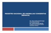 REGISTRO NACIONAL DE ANOMALIAS CONGENITAS (RENACH) · 2018. 9. 25. · REGISTRO NACIONAL DE ANOMALIAS CONGENITAS (RENACH) Dra. Rosa Andrea Pardo Vargas Universidad de Chile Dra. Cecilia