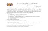 New UNIVERSIDAD DE SONORA · 2 days ago · 1 UNIVERSIDAD DE SONORA Unidad Regional Sur División de Ciencias Económicas y Sociales Consejo Divisional 11 de agosto de 2020 ACTA N0.
