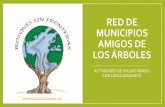Red de Municipios amigos de los árboles€¦ · BENEFICIOS PARA EL MUNICIPIO QUE FORMA PARTE DE LA RED •Los beneficios que tendrán los municipios que formen parte de la red son