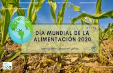 Copia de Día Mundial de la Alimentación 2020€¦ · Este 2020 en el marco del Dia Mundial de la Alimentación se hace un llamamiento mundial a la solidaridad para conseguir que