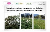 Especies exóticas invasoras en Galicia. Situación actual y ......Flora exótica invasora en Galicia • Especial interés a nivel de especie, pero posibles efectos por entrada de
