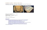 Registro de las nuevas inscripciones de Palenque · 2011. 4. 21. · Registro de las nuevas inscripciones de Palenque Traducido del Inglés por Alex Lomónaco Año de Investigación: