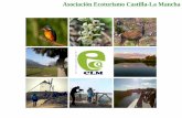 Asociación Ecoturismo Castilla-La Mancha€¦ · • Reforma de la Ley de Ordenación de Turismo de CLM. • Asistencia en la elaboración del nuevo Decreto de Ecoturismo . Asociación