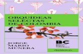 orquídeas selectas de colombia - kimera.comkimera.com/data/redlocal/ver_demos/RLBVF/VERSION/RECURSOS/REFE… · Múnera, Jorge Mario, fotógrafo Angulo, Guillermo, autor Orquídeas