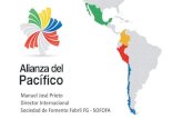 Manuel José Prieto Director Internacional Sociedad de ...funag.gov.br/images/2018/Junho/Mercosul/Apresentations/MANUEL … · ESTRUCTURA . CONSEJO EMPRESARIAL DE LA ALIANZA DEL PACÍFICO