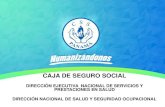 CAJA DE SEGURO SOCIAL€¦ · INICIO DE LA SALUD OCUPACIONAL EN PANAMÁ REFERENCIA HISTÓRICA EN PANAMÁ La Caja de Seguro Social, a través del Decreto de Gabinete Nº 68 de 1970,