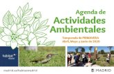 Actividades Ambientales - Diario del Ayuntamiento de Madrid€¦ · CIEA EL HUERTO DEL RETIRO Ubicado en el interior del Parque El Retiro, las actividades ofertadas están enfocadas