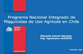 Programa Nacional Integrado de Plaguicidas de Uso Agrícola ... · Agencia Chilena para la Calidad e Inocuidad Alimentaria Programa Nacional Integrado de Plaguicidas Marco Normativo