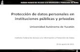 Protección de datos personales en instituciones públicas y ...IFAI).pdf · Uso de TIC’s en México Contenido . Informe de Autoevaluación primer semestre 2009 Instituto Federal