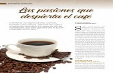 Cafeterías de especialidad, baristas, ESANCHEZ@CAMARALIMA ...€¦ · no solo el consumo interno del café sino también su catación. “Hay cafés con 84 puntos de catación en