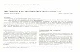Contribució a la paleobiologia dels 'Nummulites' · Butll. Inst. Cat. Hist. Nat., 48 (Sec. Geol., 3): 19-29. 1982 CONTRIBUCIO A LA PALEOBIOLOGIA DELS NUMMULITES Josep Serra-Kiel