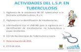 ACTIVIDADES DEL L.S.P. EN TUBERCULOSIS ...saludcapital.gov.co/DSP/Infecciones Asociadas a Atencin...2. Vigilancia en la identificación de micobacterias. 3. Intermediario con el LNR-INS