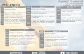Agenda Semanal - Torreón al 20... · 2019. 6. 10. · Luis Alberto Morales) 14:00a 15:00$ Atención a la ciudadanía, firma de altas y bajas del programa oportunidades, expedición