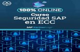 Brochure SAP Security ECC - cybertrust.cl · información, administradores de Seguridad SAP, auditores internos y externos, encargados de control Interno, riesgo y prevención de