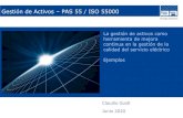 Gestión de Activos PAS 55 / ISO 55000...La gestión de activos como herramienta de mejora continua en la gestión de la calidad del servicio eléctrico Ejemplos Gestión de Activos