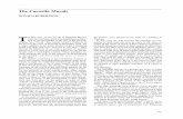 Mesoweb · ALVARADO TEZOZOMOC, HERNANDO. 1878 Cronica mexicana escrita hacia el afio de 1598. Mexico. ... 1944 Archaeological Finds near Douglas, British Hon- duras. Carnegie Institution