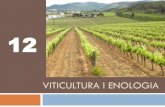 VITICULTURA I ENOLOGIA - noticea.espais.iec.catnoticea.espais.iec.cat/files/2013/12/112-VITICULTURA-I-ENOLOGIA.pdf · Secció de Viticultura i Enologia Activitats realitzades 2013