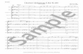 Score Clarinet Quintet in A dur KClarinet Quintet in A dur K.581 Score 木管五重奏版 Mozart 作曲 関向 弥生 編曲 & & & &? ### ### #### ### Fl. Ob. Cl. Hn. Bsn. 15 œ ŒÓ