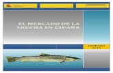 New EL MERCADO DE LA TRUCHA EN ESPAÑA · 2018. 3. 2. · 28002 -Salmo trutta fario MADRID TEL: 913473681 FAX: 913478445 Oncorhynchus mykiss La mayoría de las truchas sólo se encuentran