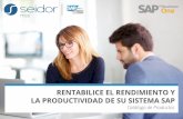 RENTABILICE EL RENDIMIENTO Y LA PRODUCTIVIDAD DE SU ...€¦ · Integración entre SAP Business One y cualquier plataforma certiﬁcada de los PSE, que proporcionan el servicio de