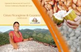 Cámara Nicaragüense de Cacaoteros · •Alta demanda nacional y regional (El Salvador y Guatemala) de cacao rojo. •Cultura de consumo de alimentos tradicionales con base en cacao
