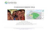 COMUNIDADEMBERÁ DRUA · 2017. 11. 25. · Los ancestros de Emberá Drua provienen de Darién, que en busqueda de mejores condiciones y oportunidades, encuentran este sitio con similares