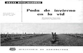 Poda de invierno MADRID MARZO 1966 en la vid N.°^i-G6H · Fundamento de la poda. La planta de la vid no es, en su naturaleza, tal como estamos acostumbrados a verla ; en su origen